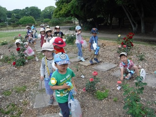s-DSCF3620.jpg