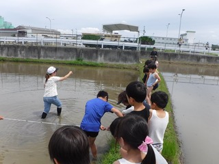 s-DSCF3711.jpg