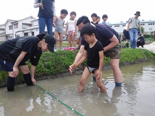 s-DSCF3717.jpg
