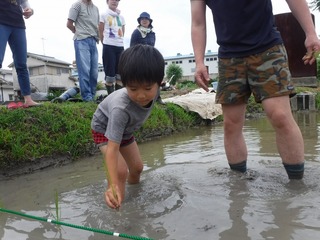 s-DSCF3751.jpg