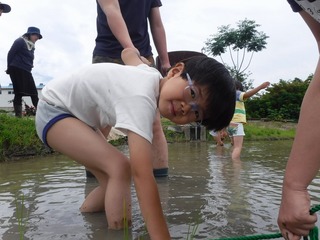 s-DSCF3758.jpg