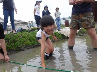 s-DSCF3762.jpg
