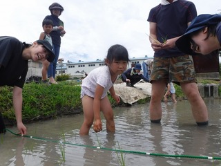 s-DSCF3772.jpg