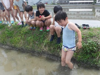 s-DSCF3869.jpg