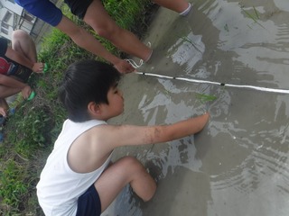 s-DSCF3874.jpg