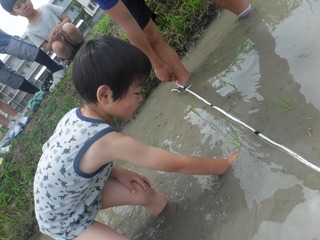 s-DSCF3880.jpg
