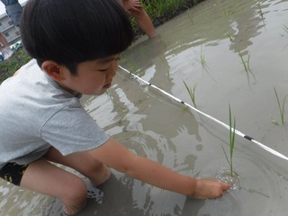 s-DSCF3885.jpg