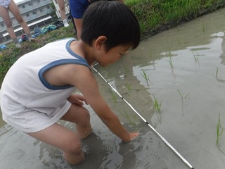 s-DSCF3892.jpg
