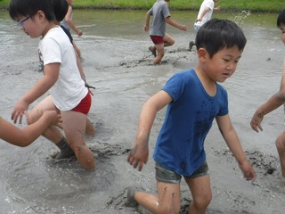 s-DSCF3919.jpg