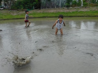 s-DSCF3937.jpg