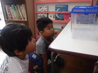 s-DSCF4448.jpg