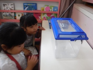 s-DSCF4454.jpg