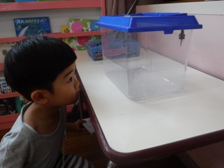 s-DSCF4457.jpg