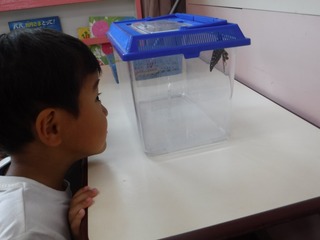 s-DSCF4458.jpg