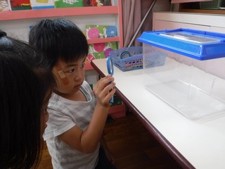 s-DSCF4461.jpg