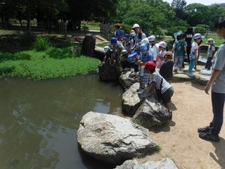 s-DSCF4607.jpg