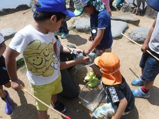 s-DSCF4617.jpg