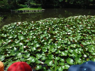 s-DSCF4621.jpg