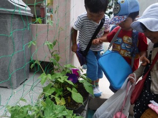 s-DSCF4636.jpg