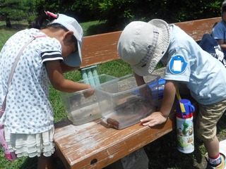 s-DSCF4641.jpg
