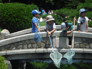 s-DSCF4655.jpg