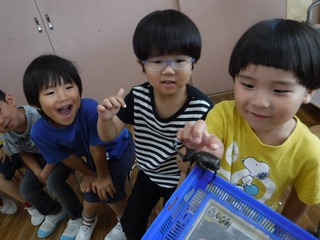 s-DSCF4676.jpg