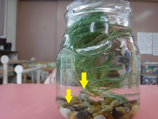 s-DSCF4682.jpg