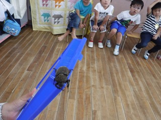 s-DSCF4688.jpg