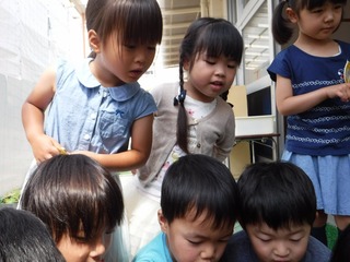 s-DSCF4695.jpg
