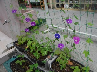 s-DSCF5093.jpg