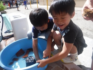 s-DSCF5894.jpg