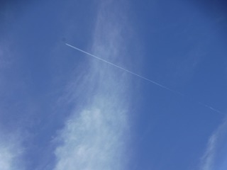s-DSCF5908.jpg