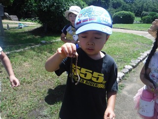 s-DSCF5934.jpg