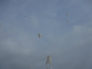 s-DSCF6150.jpg