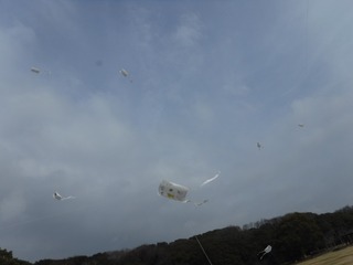 s-DSCF6151.jpg