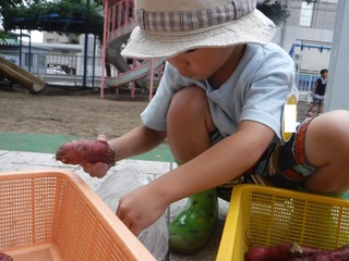 s-DSCF6952.jpg