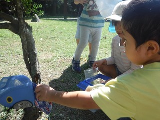 s-DSCF7043.jpg