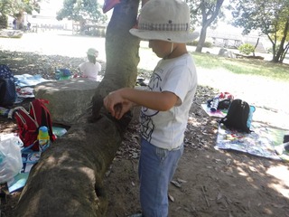 s-DSCF7052.jpg
