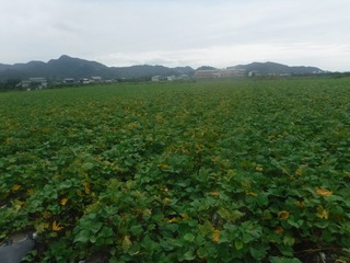 s-DSCF7245.jpg