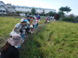 s-DSCF7445.jpg