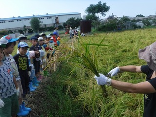 s-DSCF7448.jpg