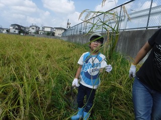 s-DSCF7461.jpg