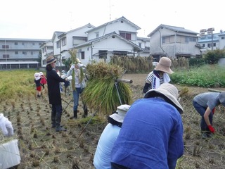 s-DSCF7498.jpg