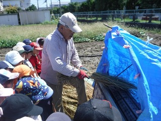 s-DSCF7983.jpg