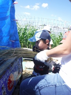 s-DSCF7992.jpg