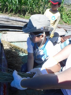 s-DSCF8019.jpg