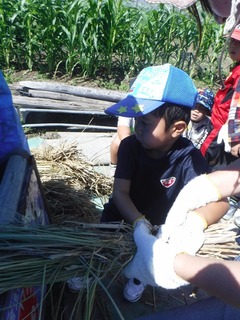 s-DSCF8025.jpg