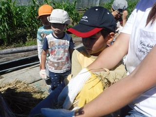 s-DSCF8039.jpg