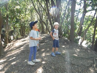 s-DSCF8065.jpg
