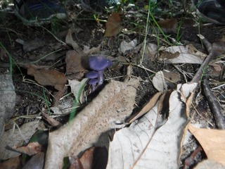 s-DSCF8075.jpg